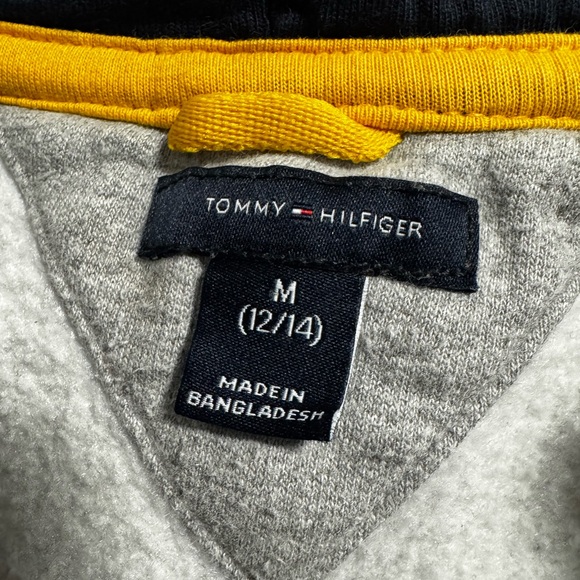Kids Tommy Hilfiger Gray Hoodie - Picture 6 of 8